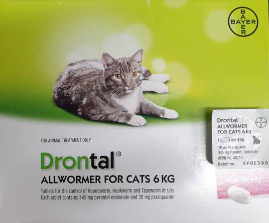 Drontal AllWormer for Cats 4-6kg / 1 Tablet - Out Of Stock